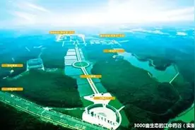 “两会”热议中医药发展 江中为中医药企业树标杆图片