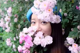 春天花花在歌唱之花田喜事图片