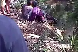 惊魂!男子湖边被鳄鱼拉入水腿被咬断血肉模糊图片