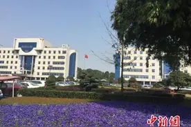 长沙政府机关自拆围墙 官员最初认为安全没有保障图片