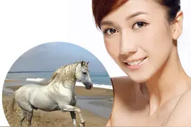 马油到底是什么? 了解它才不会盲目跟风真图片