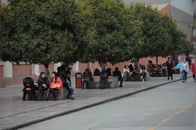 奥数热难降温 成都小学生迎考“国奥赛”图片