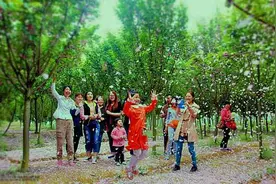 3月19，绵阳城北看红霞满天图片