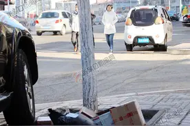 不要往树坑扔垃圾图片