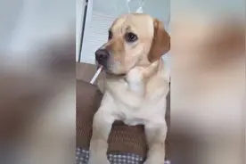 抽烟我要最好的