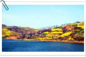 美丽洛阳洛阳这些地儿的花海美极了，要不要去看看？图片