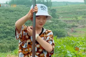 变形计：陈思媛种地感受到面朝黄土背朝天的感觉，直呼太爽了视频封面