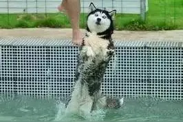 普通人与专业选手实战，是一种怎样的体验？武林外传图片