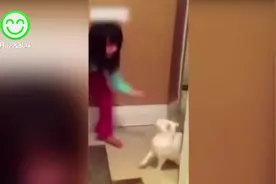 猫咪被女孩狂扇十几个巴掌，结果小猫咪怒了，接下来小女孩要哭了