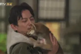 何炅怀抱小H，带领全家开party视频封面