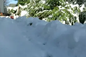德国冰雪中穿行的火车模型，真酷炫视频封面