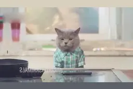 当你偷看别人朋友圈 手滑点了个赞之后，哈哈哈哈好形象