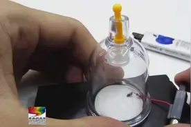 活捉到一只刚吃饱的蚊子，用打火机的压电电击它会怎样