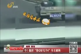 牛！临沂“鲁Q好几个8”车主被拘视频封面