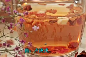 暴风雨后的蝴蝶折伤翅膀，却依然迎着风雨飞翔！视频封面