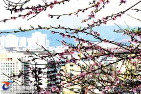 镜头里的花花世界图片