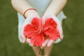 当你的名字被带着爱意唤起图片