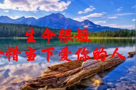生命很短，珍惜当下爱你的人，值得一看视频封面