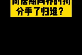 恋爱时候的养的狗，分手了归谁？#恋爱 #同居 #狗 #狗狗 #民法典
