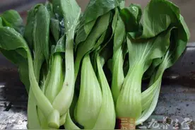 青菜的功效与作用 吃青菜能降低血脂图片