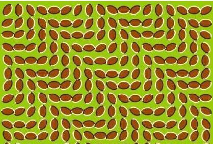 片测试|一张测出你是不是有密集恐惧症