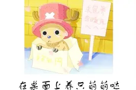 三个步骤即可获得专属桌宠，把天真小哥养在桌面上视频封面