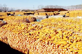 都说粮食安全对国家特别重要，但为什么说韩国却不需要粮食储备？视频封面