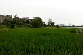 安徽铜陵有个村庄，因为一位名人弟兄葬于此，立了一块华表而得名