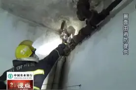江阴一对夫妇夜班回家 发现家中竟有一条一米多长的大蛇视频封面