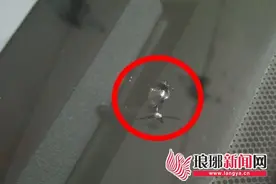 临沂:挡风玻璃被飞石砸裂 肇事车辆无影损失谁赔图片