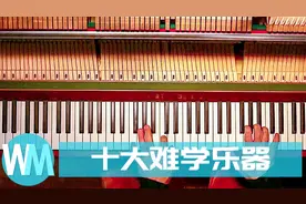 十大公认最难学的乐器，精通其中一种你就是大神！视频封面