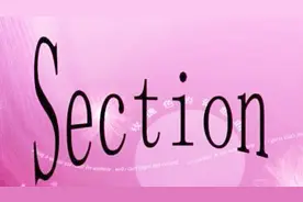 SECTION视频操作之文字查找替换