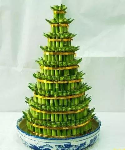 富贵竹塔怎么养,象征步步高升的塔竹,如何才能养的根繁叶茂? - 冷求网