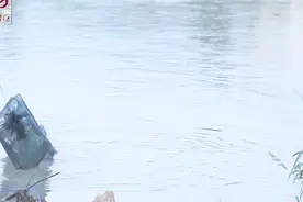 有钱都难买到的野生小河鱼，你们老家的河里有吗？这么做，太香了视频封面