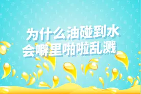 分钟科学 为什么油遇水会噼里啪啦乱溅？科学老师怎么说？视频封面
