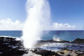 地下大量的二氧化碳涌出来，挤掉空气中的氧气，人就会窒息死亡视频封面