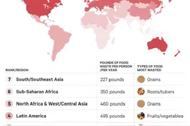 全球每年浪费食物13亿吨 美国在内北美地区程度最严重图片