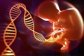 基因测序成本下降DNA App store上线 在线基因测序或爆发图片