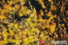 穿短袖的遇上穿棉袄的 不要惊讶 这是"二八月乱穿衣"的季节图片