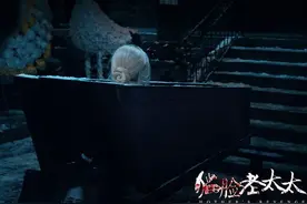 恐怖爱好者定制电影 《猫脸老太太》爆“吓点”图片