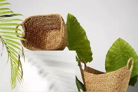 春意来袭：小清新的你不可错过的收纳神器图片