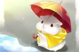 鉴赏丨一组炒鸡萌的仓鼠！看完后一天的疲劳都被萌化了！图片