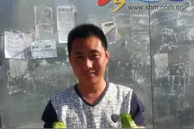 怪菜长成"奥特曼" "一母多子"叫儿菜图片