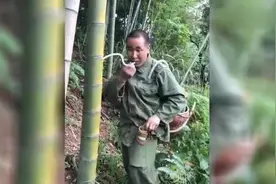 竹子里还有这么多液体，是什么啊，看起来很好喝的样子