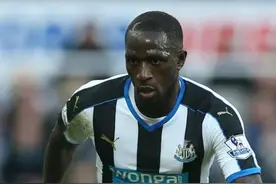 西索科:相信贝尼特斯可以拯救喜鹊图片