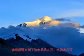 《水仙花开》春季里那么到了这水仙花儿开，水仙花儿开