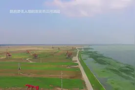 航拍淮安千亩油田，好像是在三河镇境内，靠在一条河边上视频封面