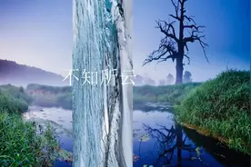 不知所云视频封面