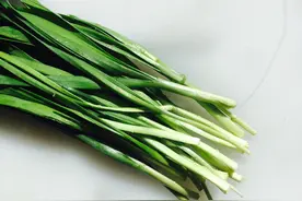 初春吃韭菜正当时！原来韭菜也是通便良药图片