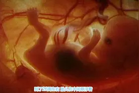 美国男女宇航员尝试在太空怀上孩子，但是胎儿可能发育不正常视频封面